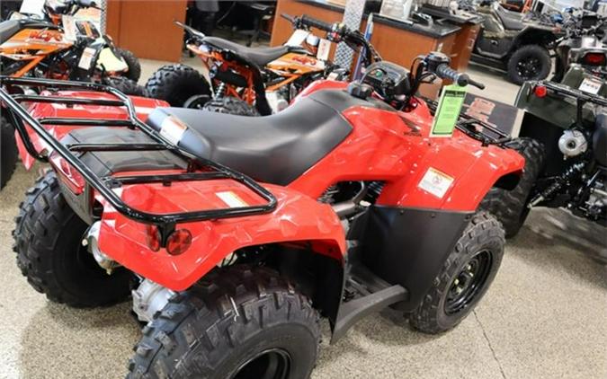 2023 Honda® Fourtrax Recon