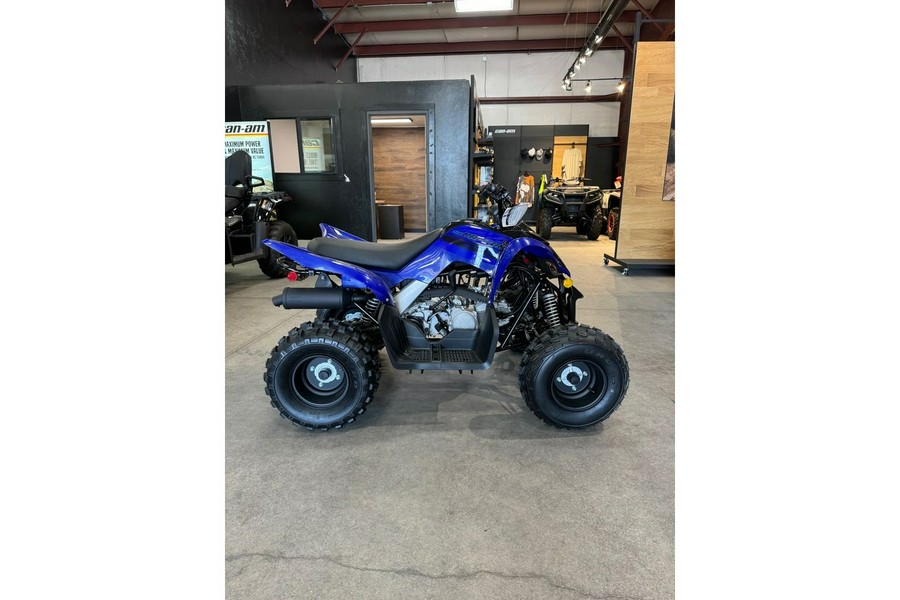 2025 Yamaha Raptor 110