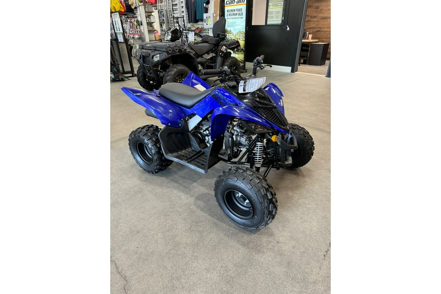 2025 Yamaha Raptor 110