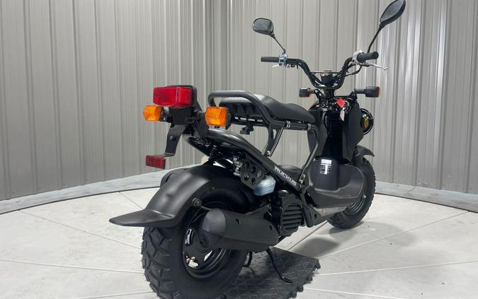 2024 Honda RUCKUS 50