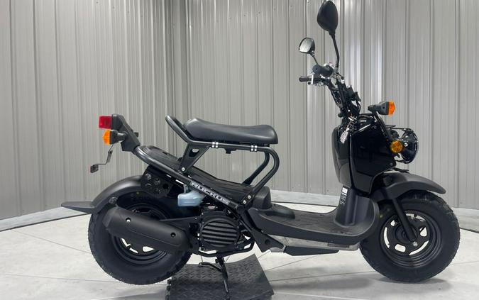 2024 Honda RUCKUS 50