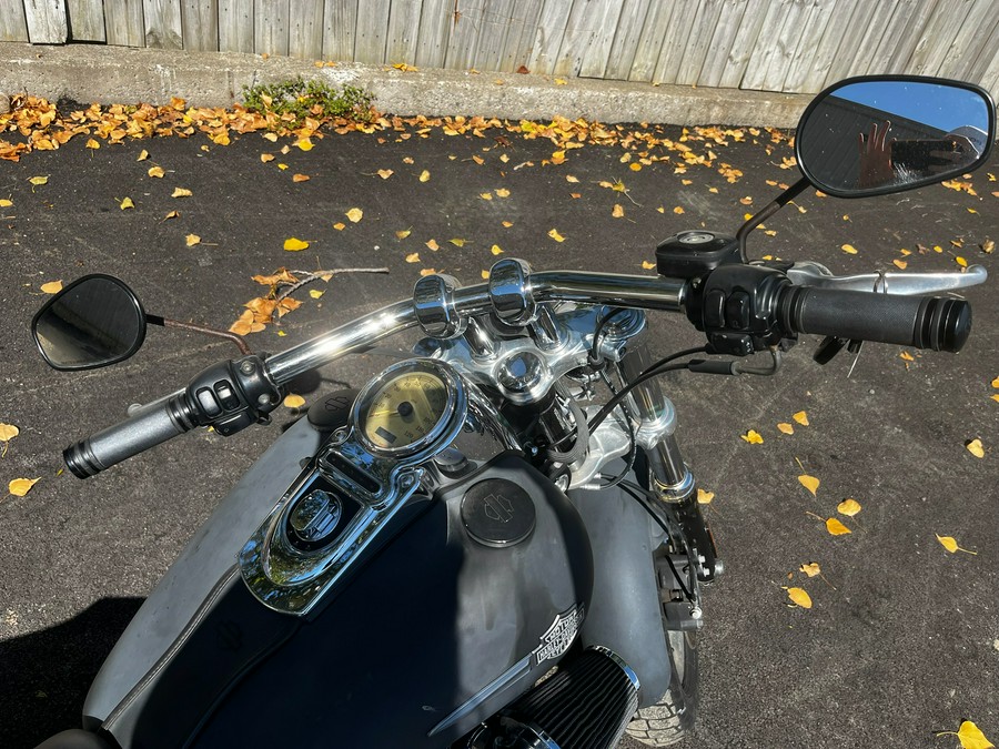 2010 Harley-Davidson Dyna® Fat Bob®