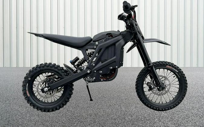 2025 E Ride Pro PRO-MINI