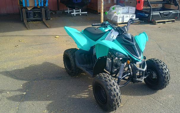 2025 Yamaha Raptor 110