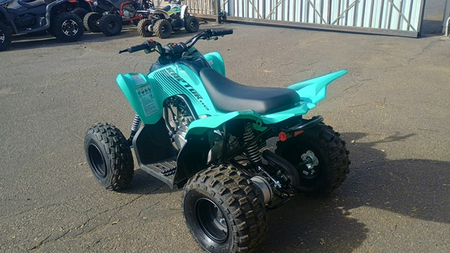 2025 Yamaha Raptor 110