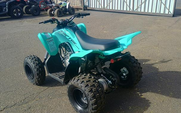 2025 Yamaha Raptor 110