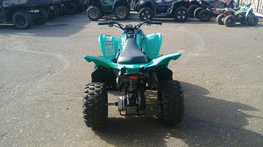 2025 Yamaha Raptor 110