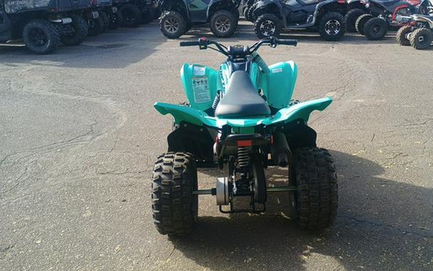 2025 Yamaha Raptor 110