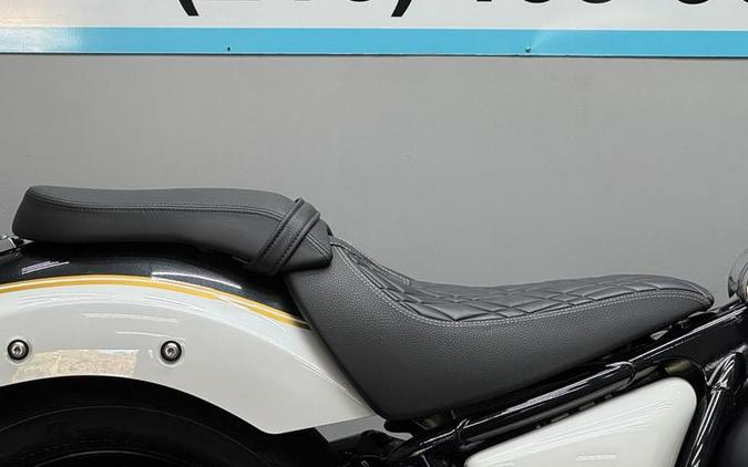 2023 BMW R 18 719 Mineral White Metallic