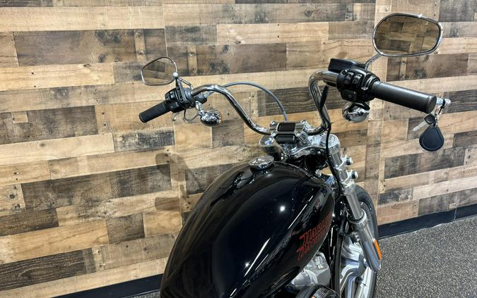 2023 Harley-Davidson® Softail® Standard Vivid Black FXST