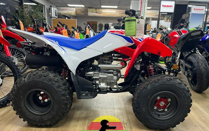 2026 Honda TRX 250X