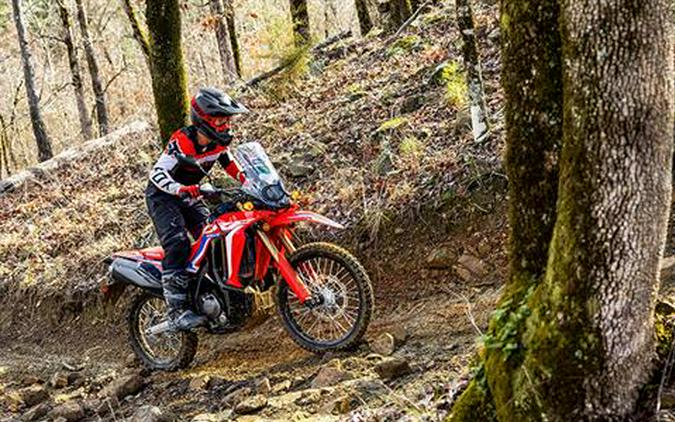 2024 Honda CRF300L Rally