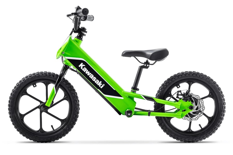 2023 Kawasaki Elektrode