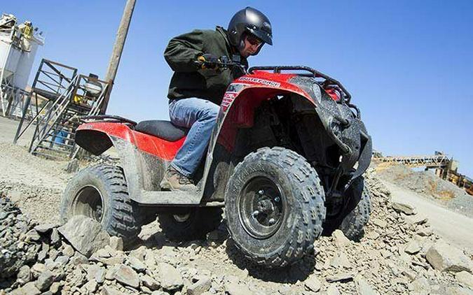 2013 Kawasaki Brute Force® 300