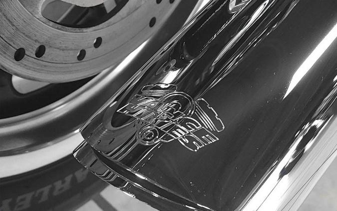 2015 Harley-Davidson® FXDL - Dyna® Low Rider®