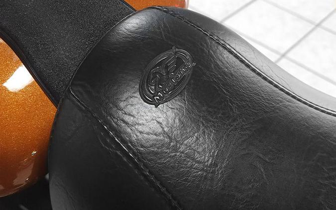 2015 Harley-Davidson® FXDL - Dyna® Low Rider®