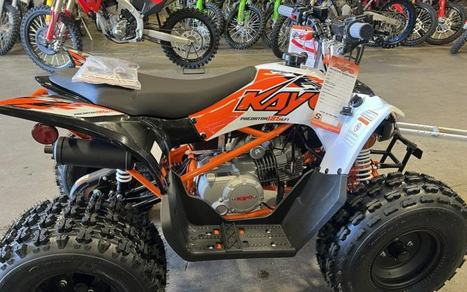 2026 Kayo Predator 125