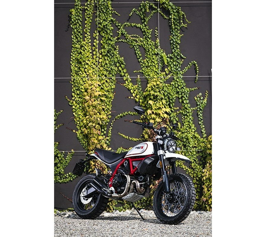 2019 Ducati Scrambler Desert Sled