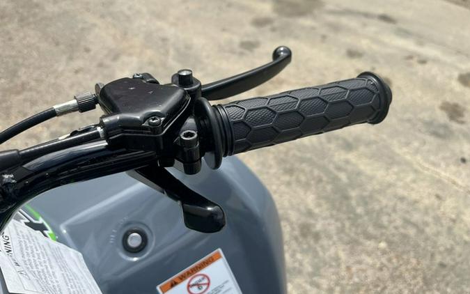 2025 Kawasaki KFX 50