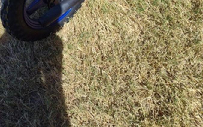 2027 Yamaha PW 50