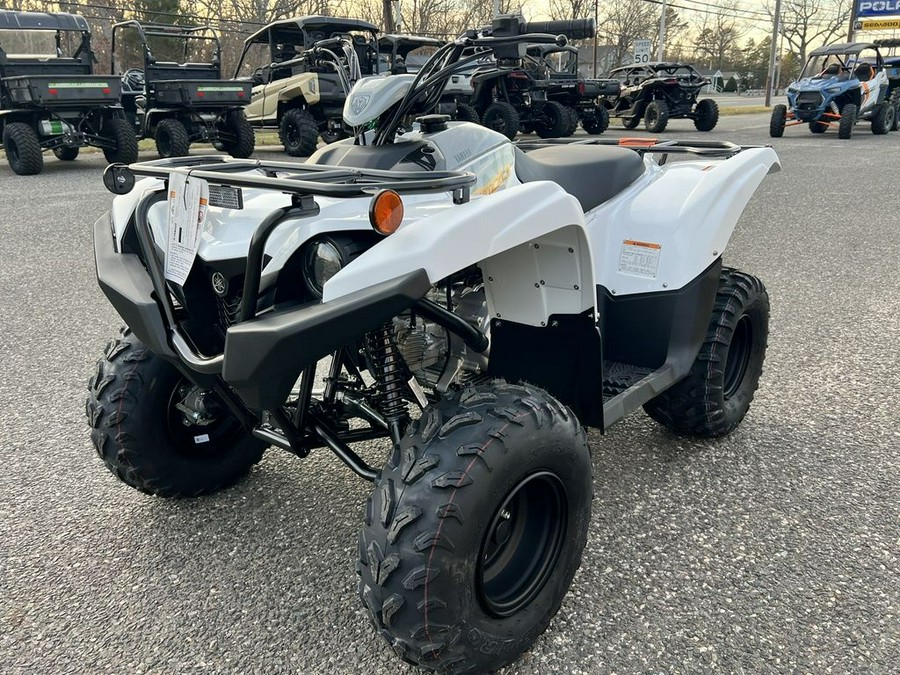 2024 Yamaha Grizzly 90