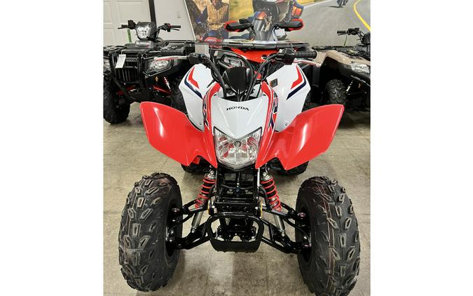 2024 Honda TRX250X