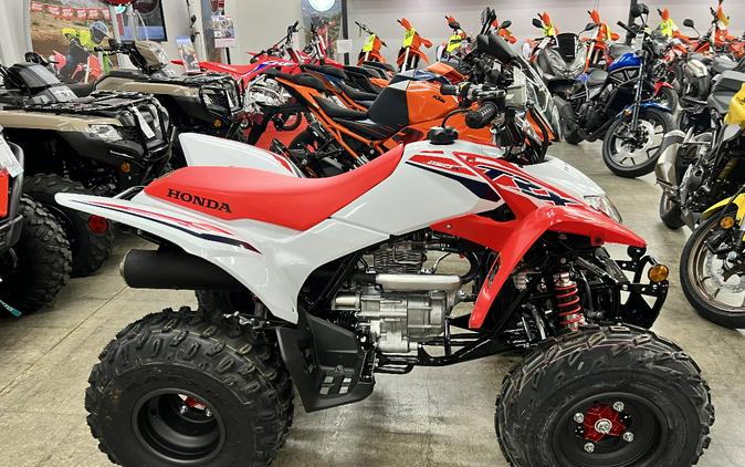 2024 Honda TRX250X