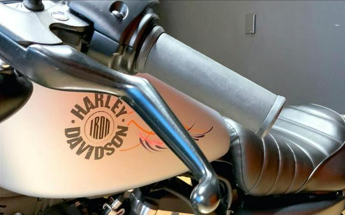 2020 Harley-Davidson® XL883N - Sportster® Iron 883™