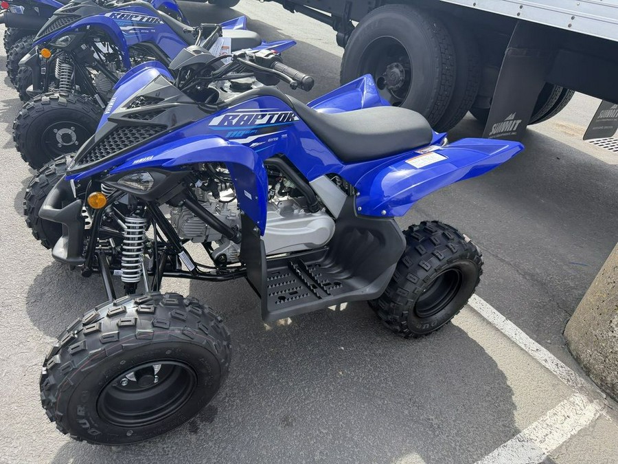 2026 Yamaha Raptor 110