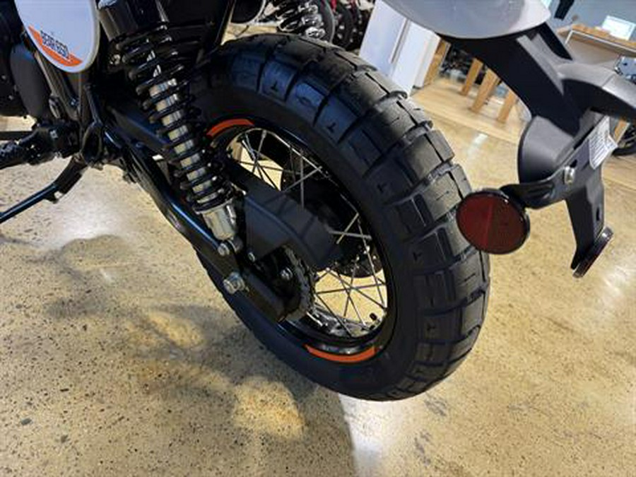 2025 Royal Enfield Bear 650