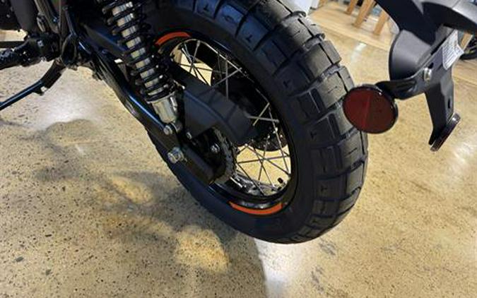 2025 Royal Enfield Bear 650