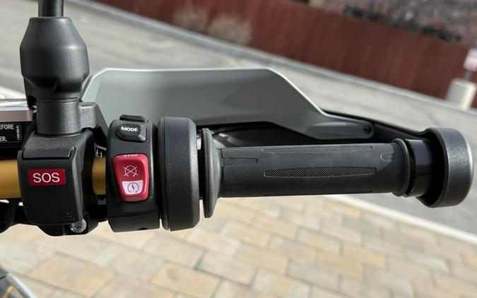 2026 BMW R 1300 GS Option 719