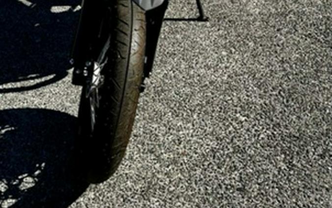 2024 Kawasaki KLX230SM ABS