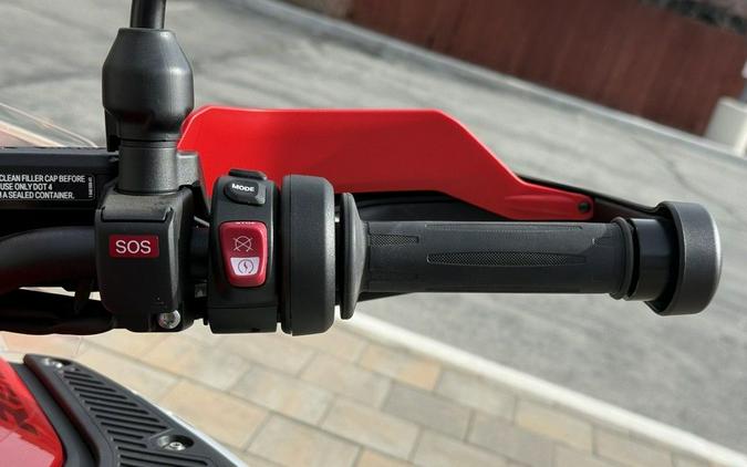 2025 BMW R 1300 GS Adventure Racing Red