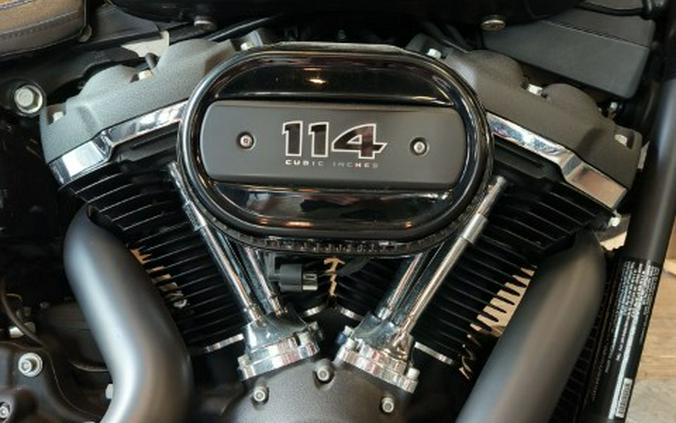 2019 Harley-Davidson Fat Bob® 114