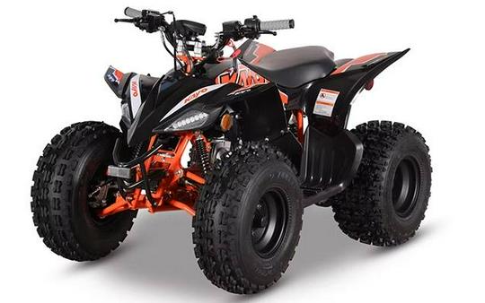 2026 PREDATOR 125 - Kayo