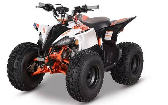2026 PREDATOR 125 - Kayo
