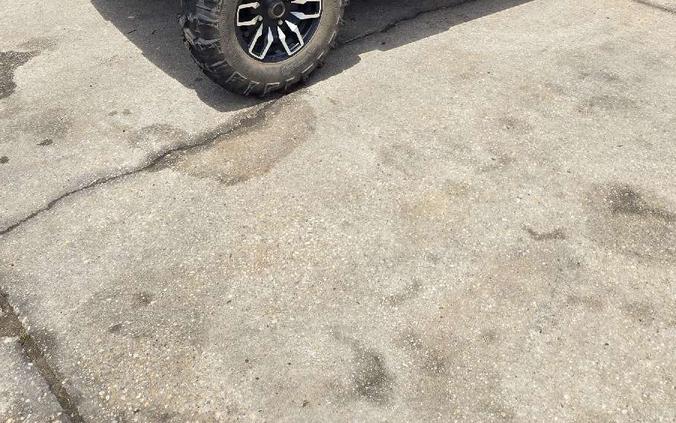 2023 Honda Pioneer 1000-5 TRAIL