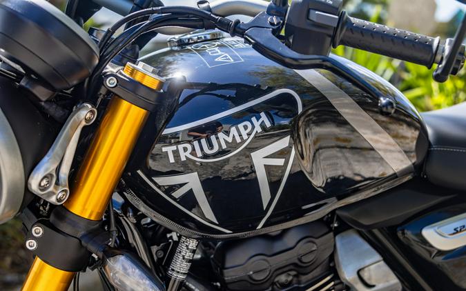 2024 Triumph Speed