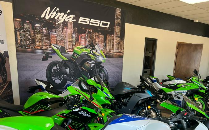 2024 Kawasaki Ninja ZX-14R 40th Anniversary Edition ABS