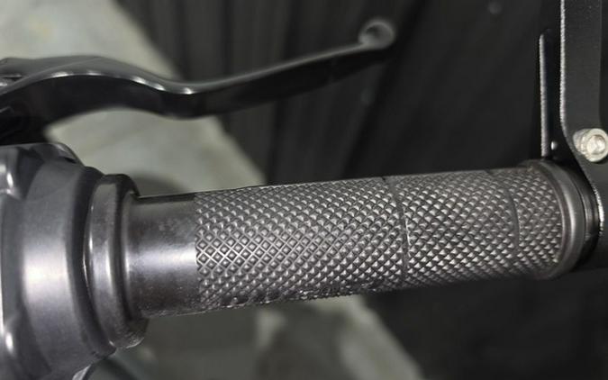 2019 Ducati Scrambler 1100