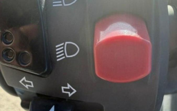 2019 Kawasaki Versys-X 300