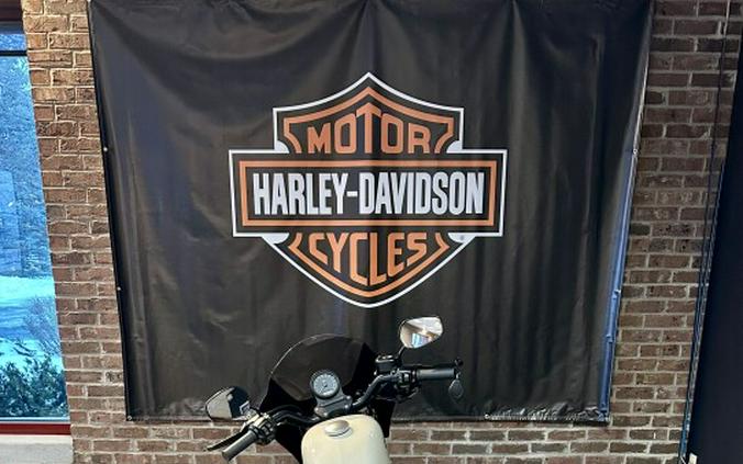 2022 Harley-Davidson Iron 883