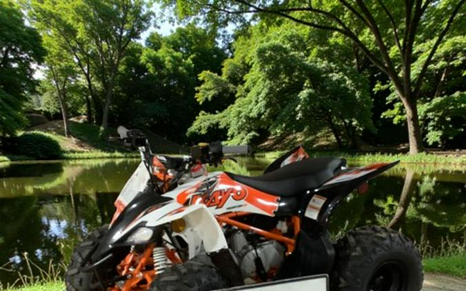 2026 Kayo Predator 110