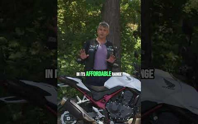 2025 Honda CB750 Hornet: Solid Suspension