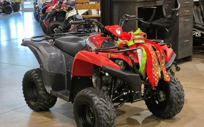 2025 Yamaha Grizzly 110