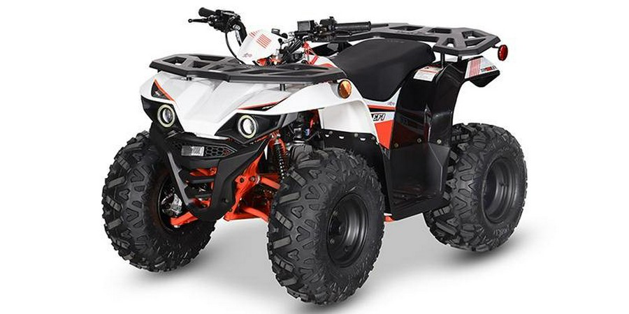 2025 Kayo BULL 125 EFI - BLACK