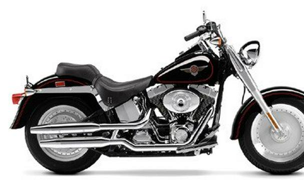 2002 Harley-Davidson FLSTF/FLSTFI Fat Boy®