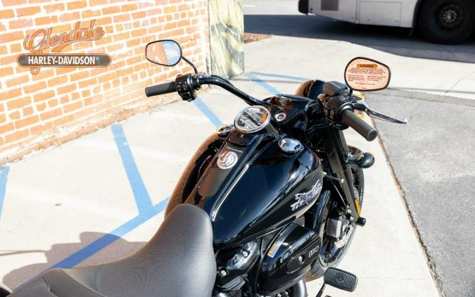 2024 Harley-Davidson Freewheeler