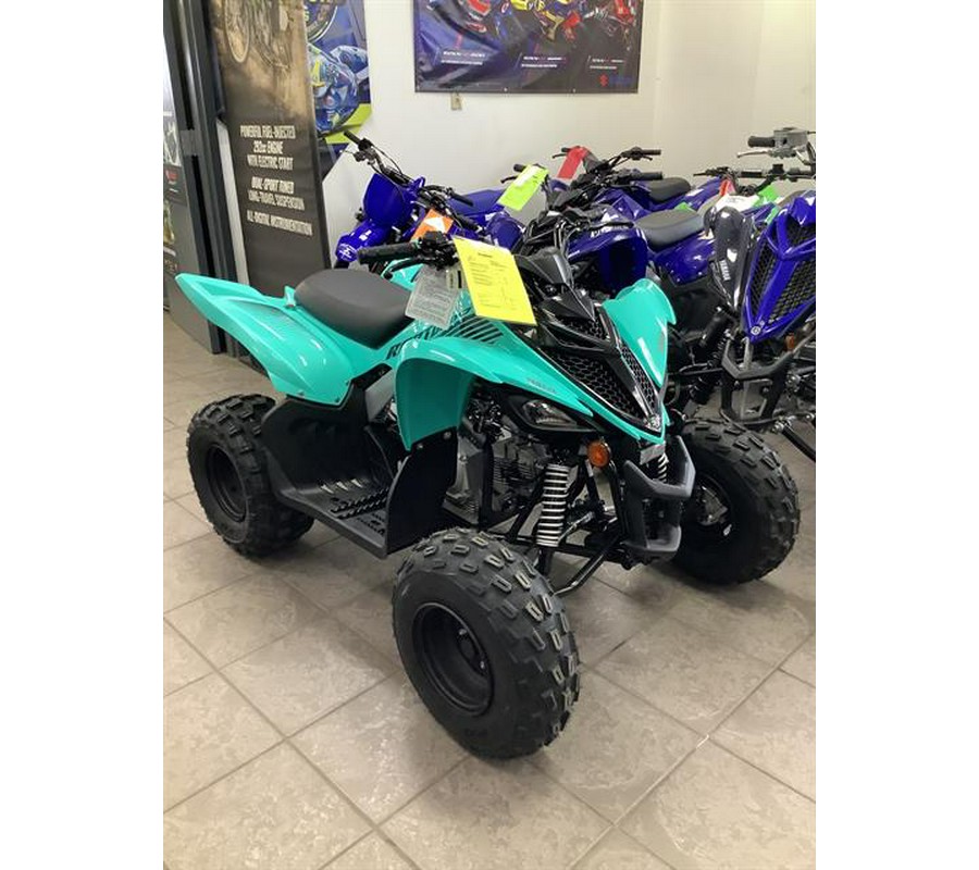 2024 Yamaha Raptor 110